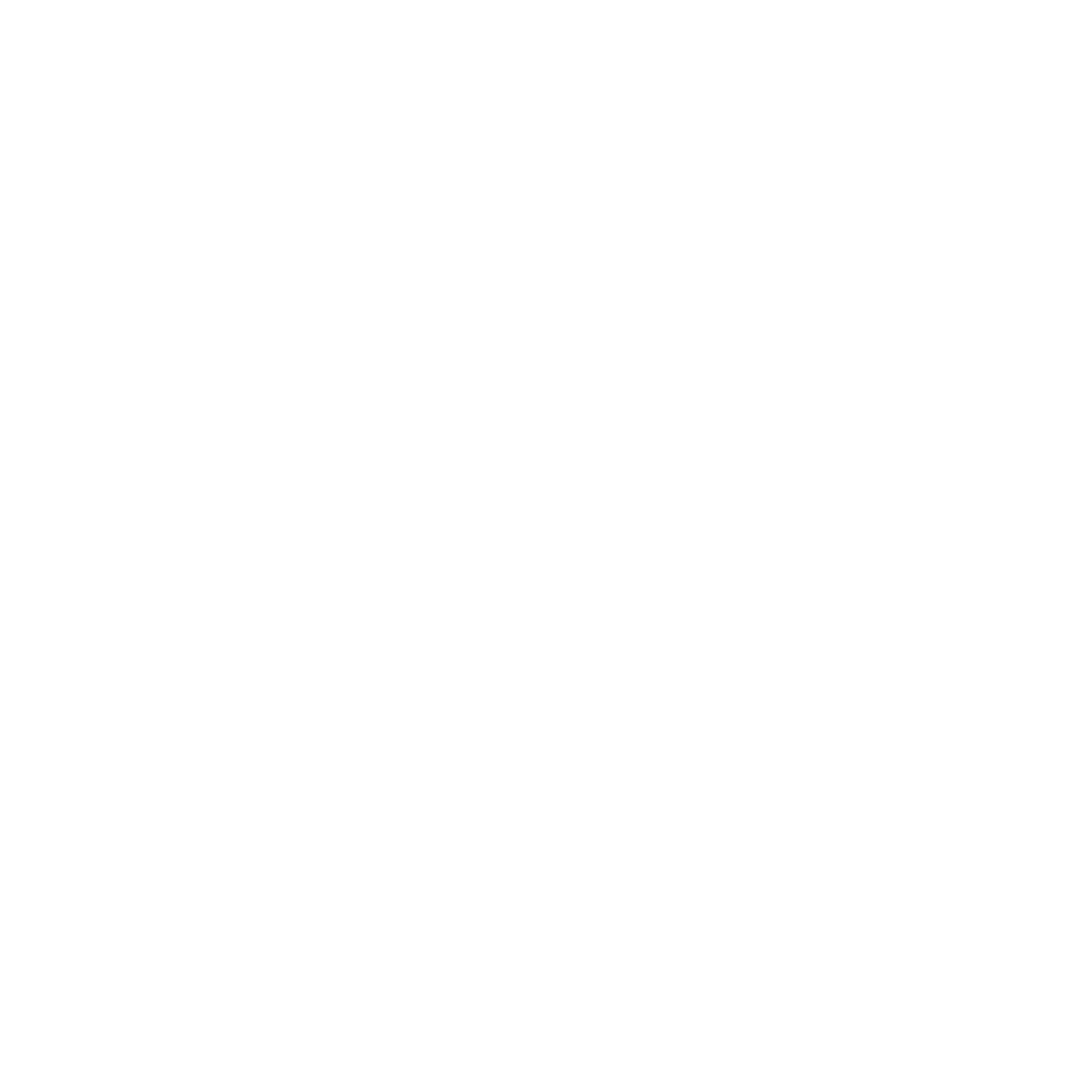 Logo MNK Blanc